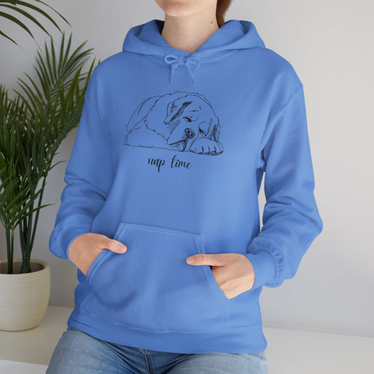 Nap Time Saint Bernard Hoodie