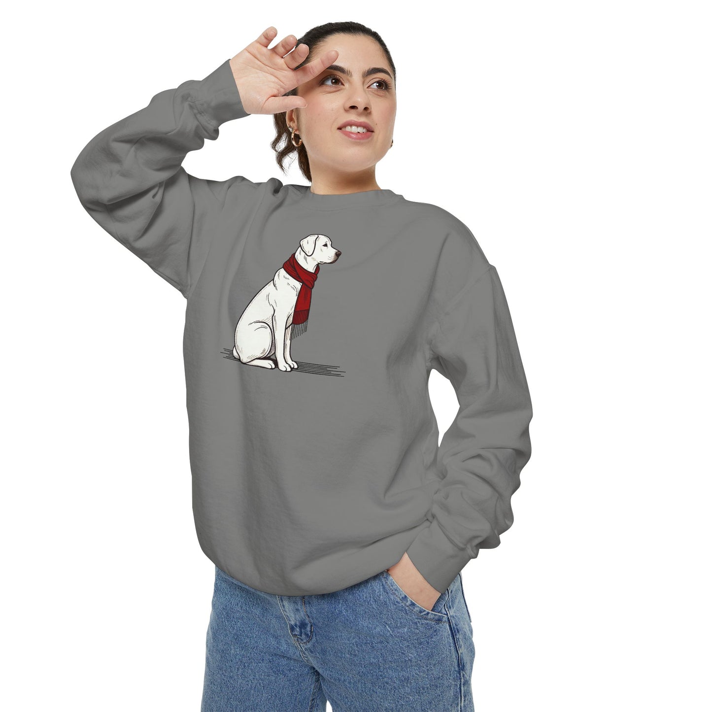 Red Scarf Dog Sweatshirt