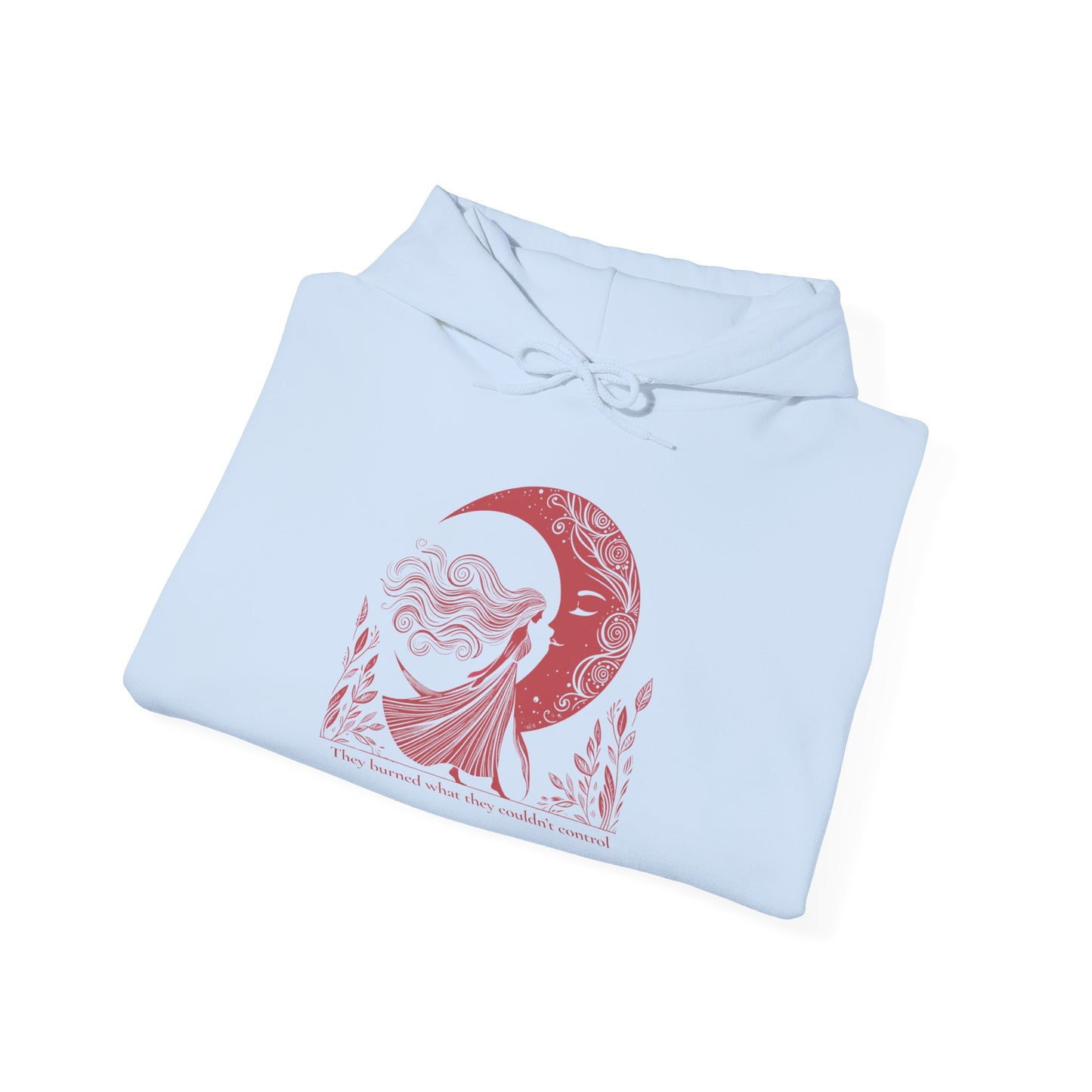 They Burned What They Couldn’t Control Hoodie